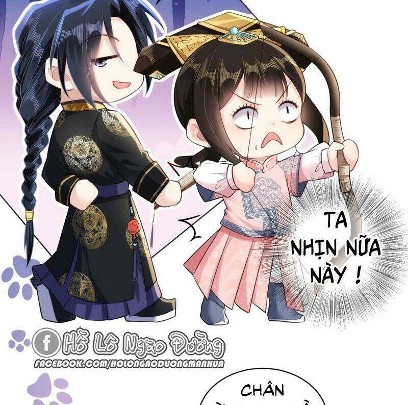 quận chúa vững vàng, thiết lập nhân vật không thể vỡ chapter 39 49