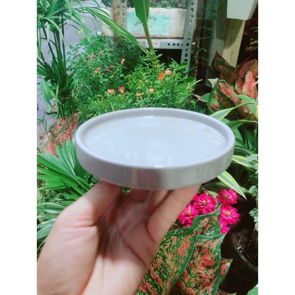 Đĩa Lót Chậu