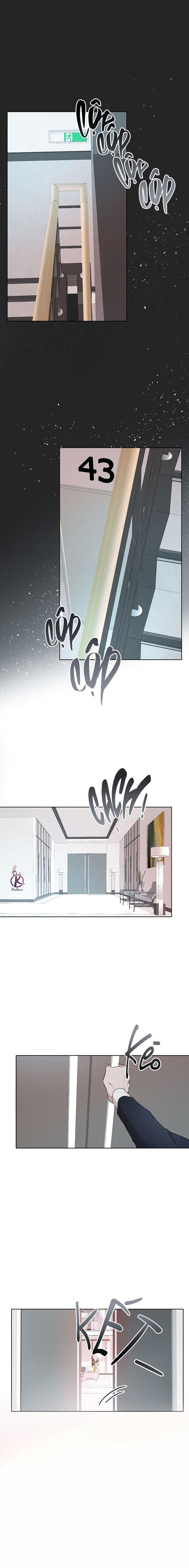 hình thái khởi sinh chapter 62 2