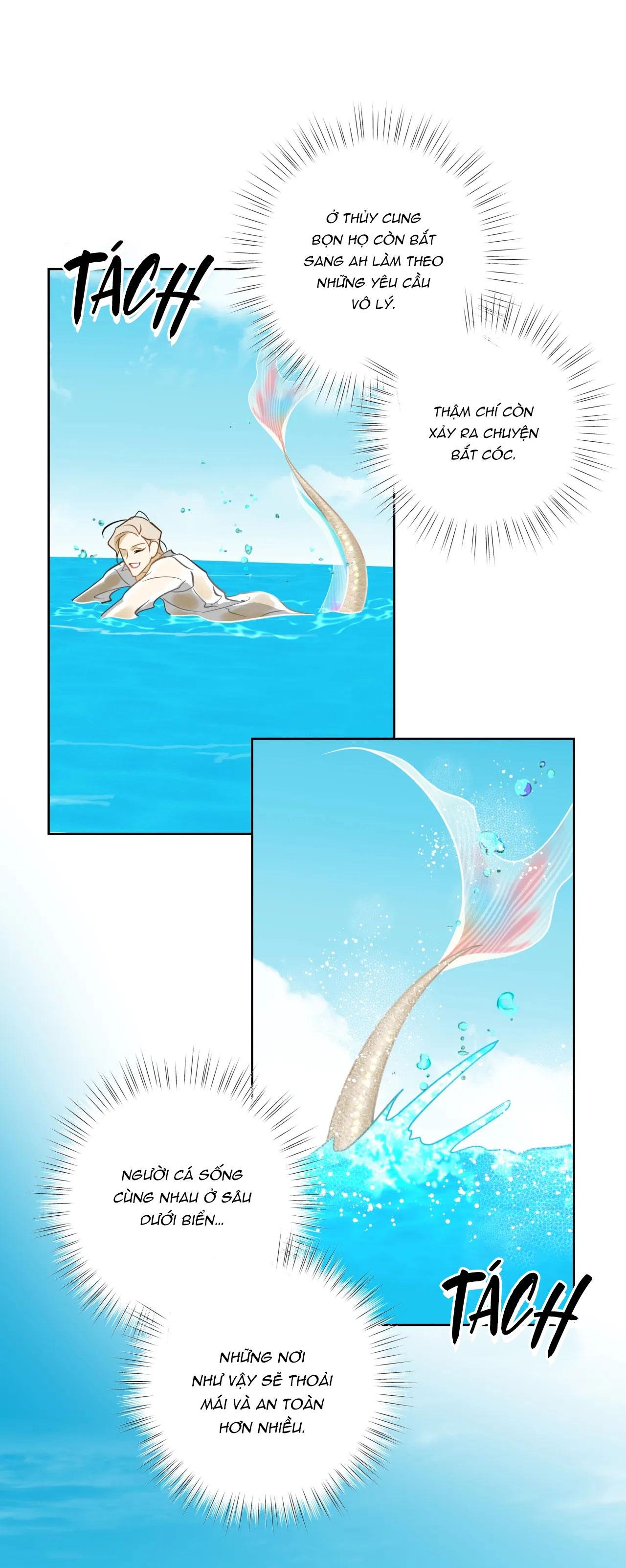 mỹ nhân ngư chapter 14 6