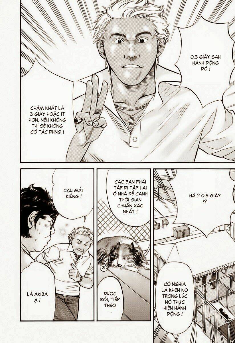 cô nàng yêu chó chapter 36 14