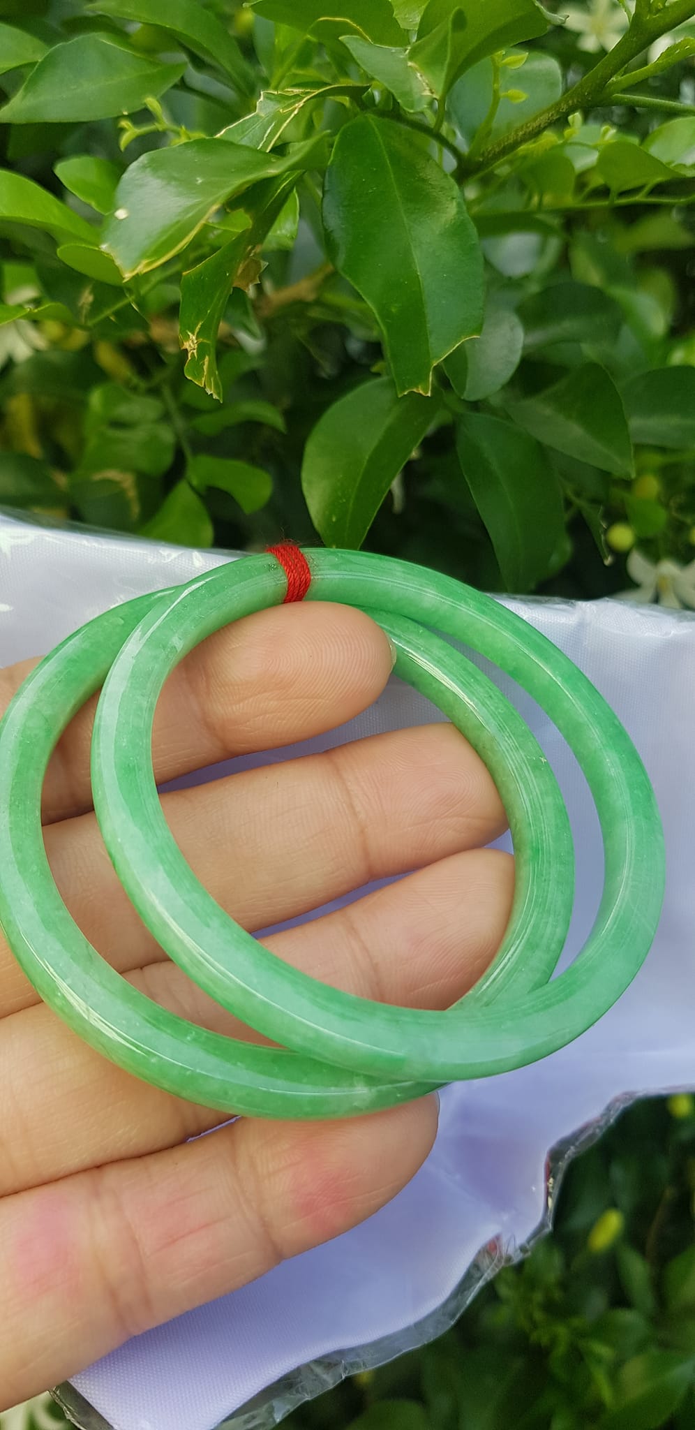 ️Cặp vòng tay đá ngọc cẩm thạch bản vuông V Đậu 50mm Size vòng 50mm x dầy 5mm x bản mỏng cao 5mm màu xanh lá ngọc đậu đều bóng đẹp Nữ Mệnh Mộc Hoả Thủy 49kg - 53kg đeo ạ