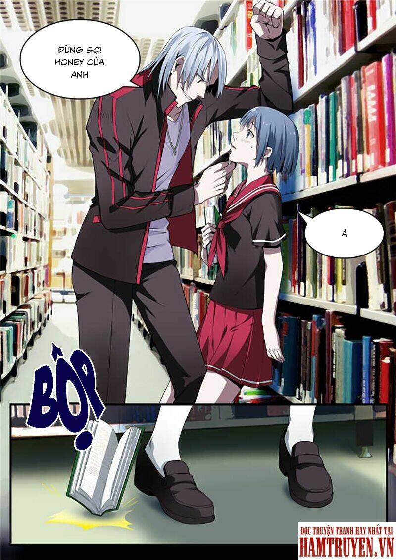 quy luật tạo hóa chapter 2 4