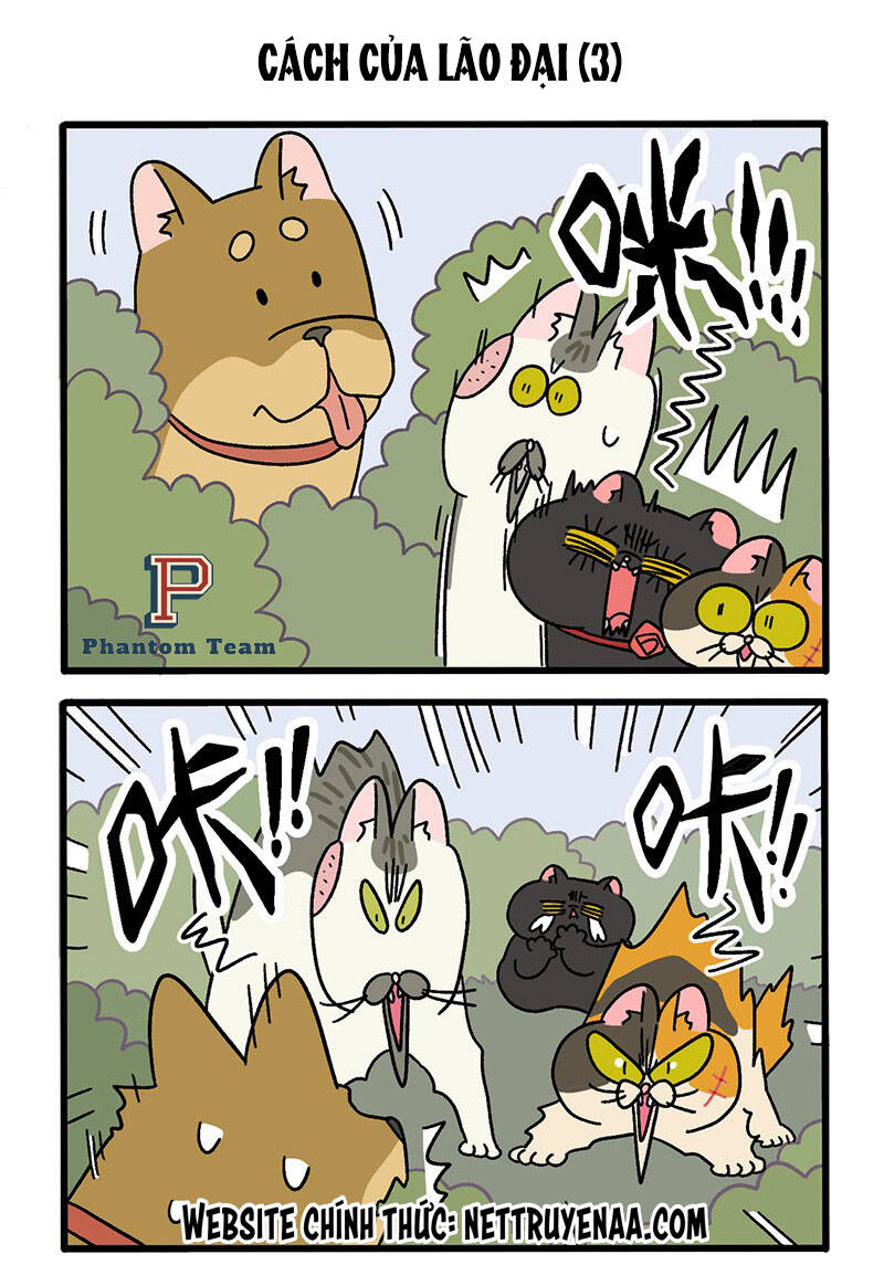 a mãn và mạch trà chapter 38 5