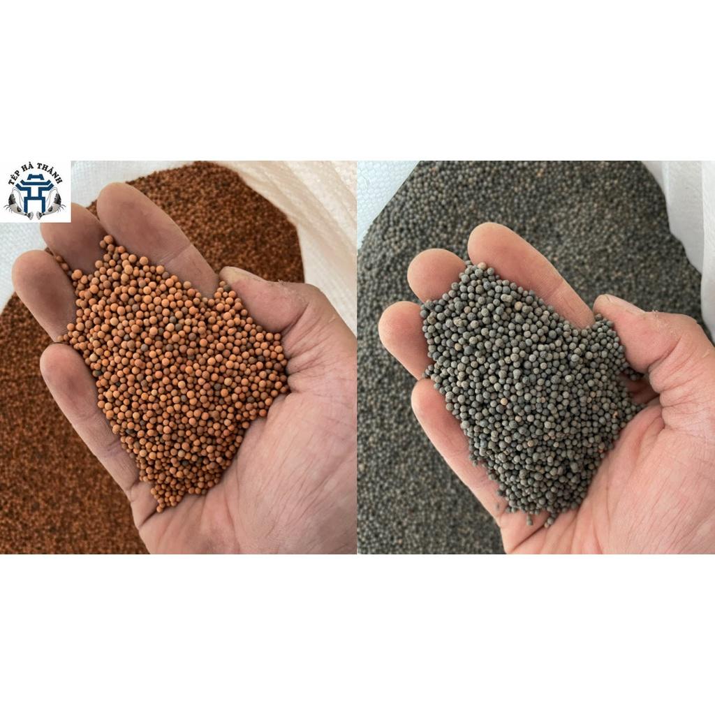 Hạt Gốm Nền Đỏ Và Đen 100Gr Dùng Trải Nền Bể Cá Cảnh, Bể Thủy SInh