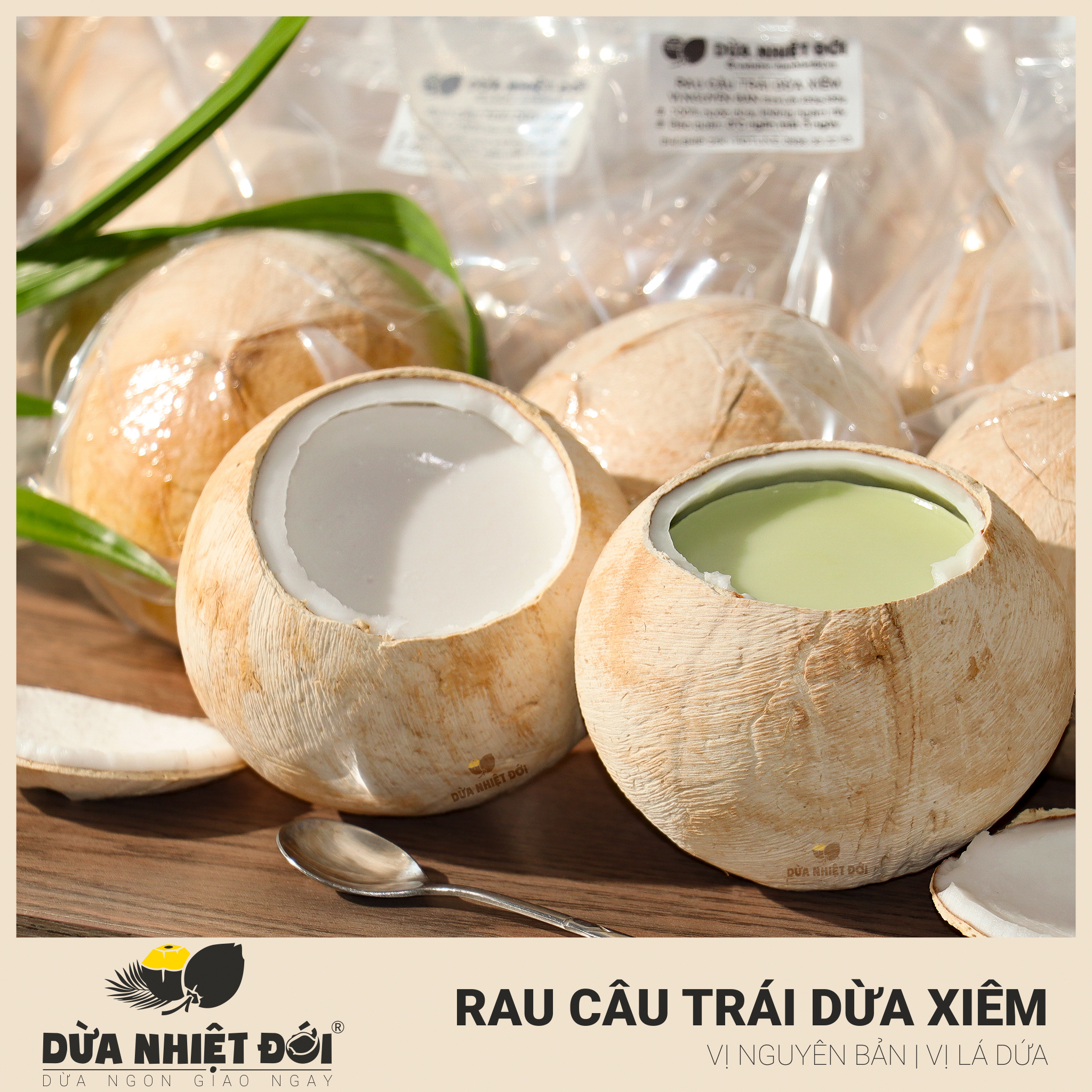 Giao Nhanh] Rau Câu Trái Dừa Xiêm | Vị Lá Dứa Size M (400G - 500G) | Dừa  Xiêm Bến Tre Shop Dừa Nhiệt Đới | Tikingon