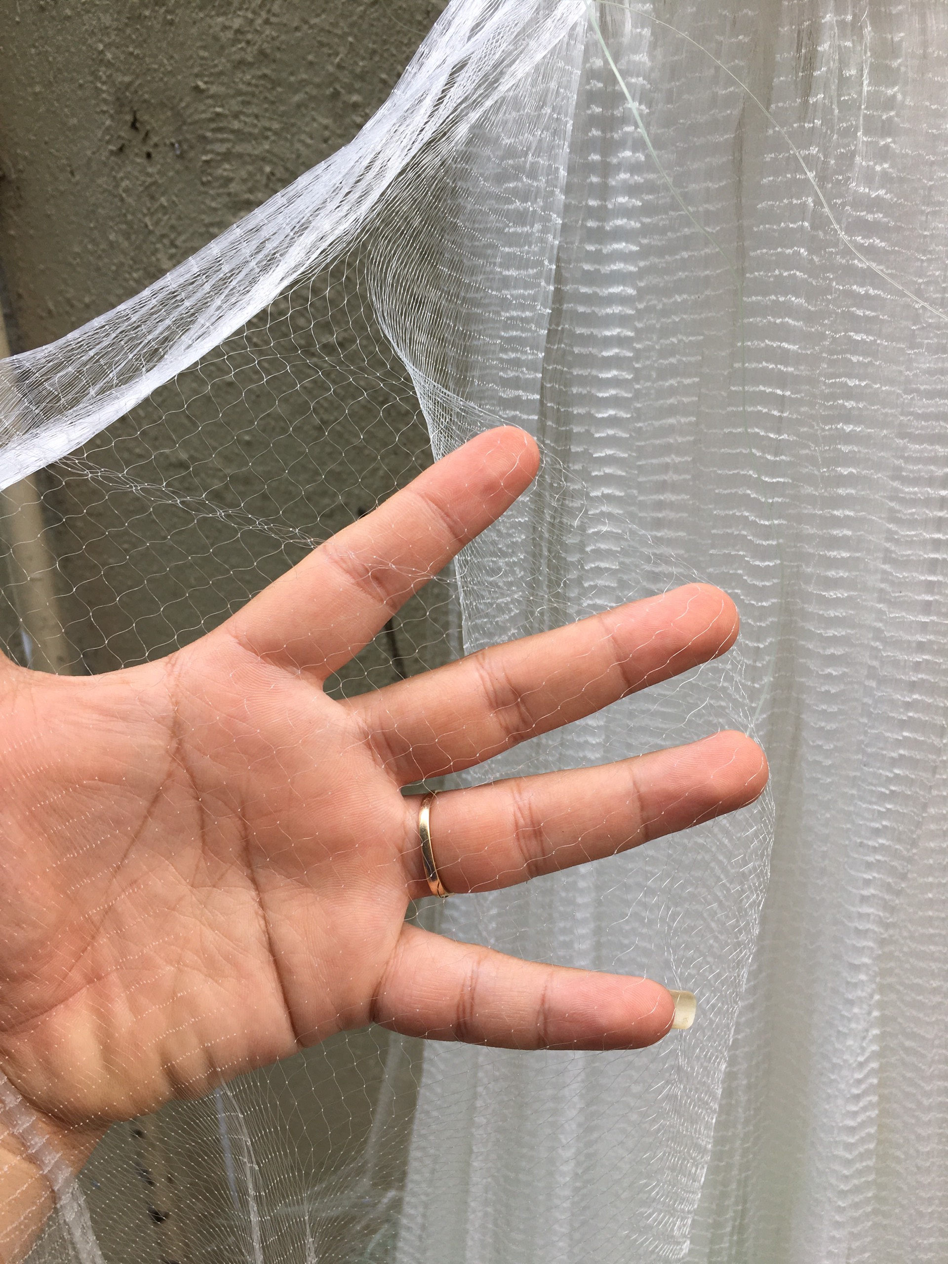 Lưới đánh cá lòng Tong, các loại cá nhỏ