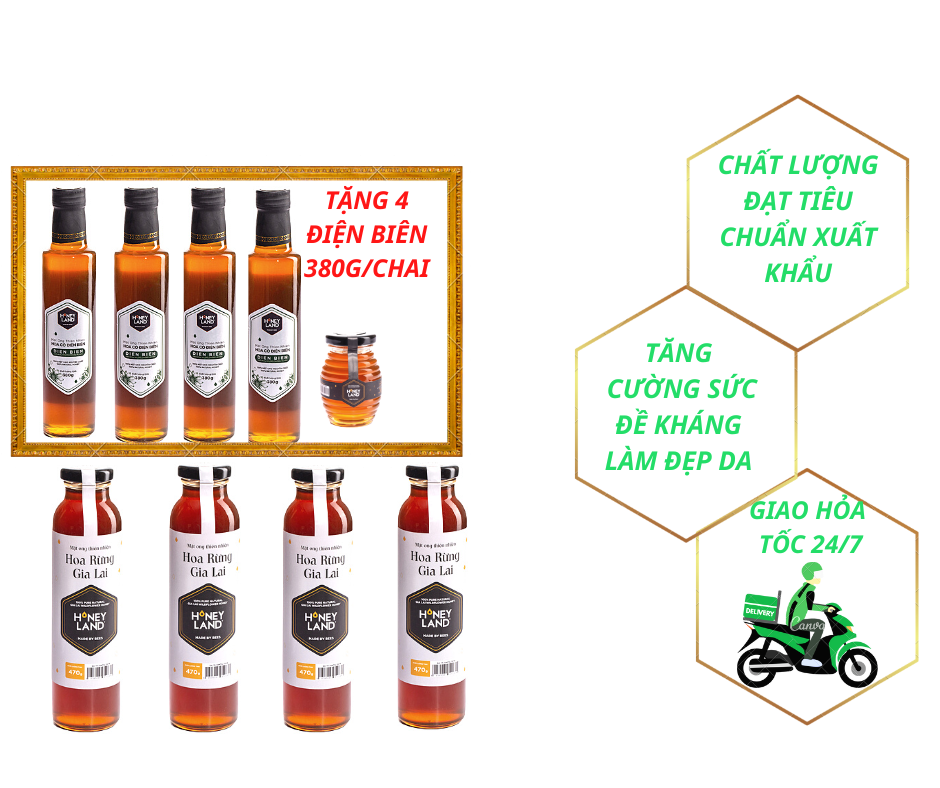 Combo 4 chai mật ong rừng Gia Lai 470g/chai TẶNG 4 chai Mật Ong Hoa Điện Biên 380g/chai Honeyland