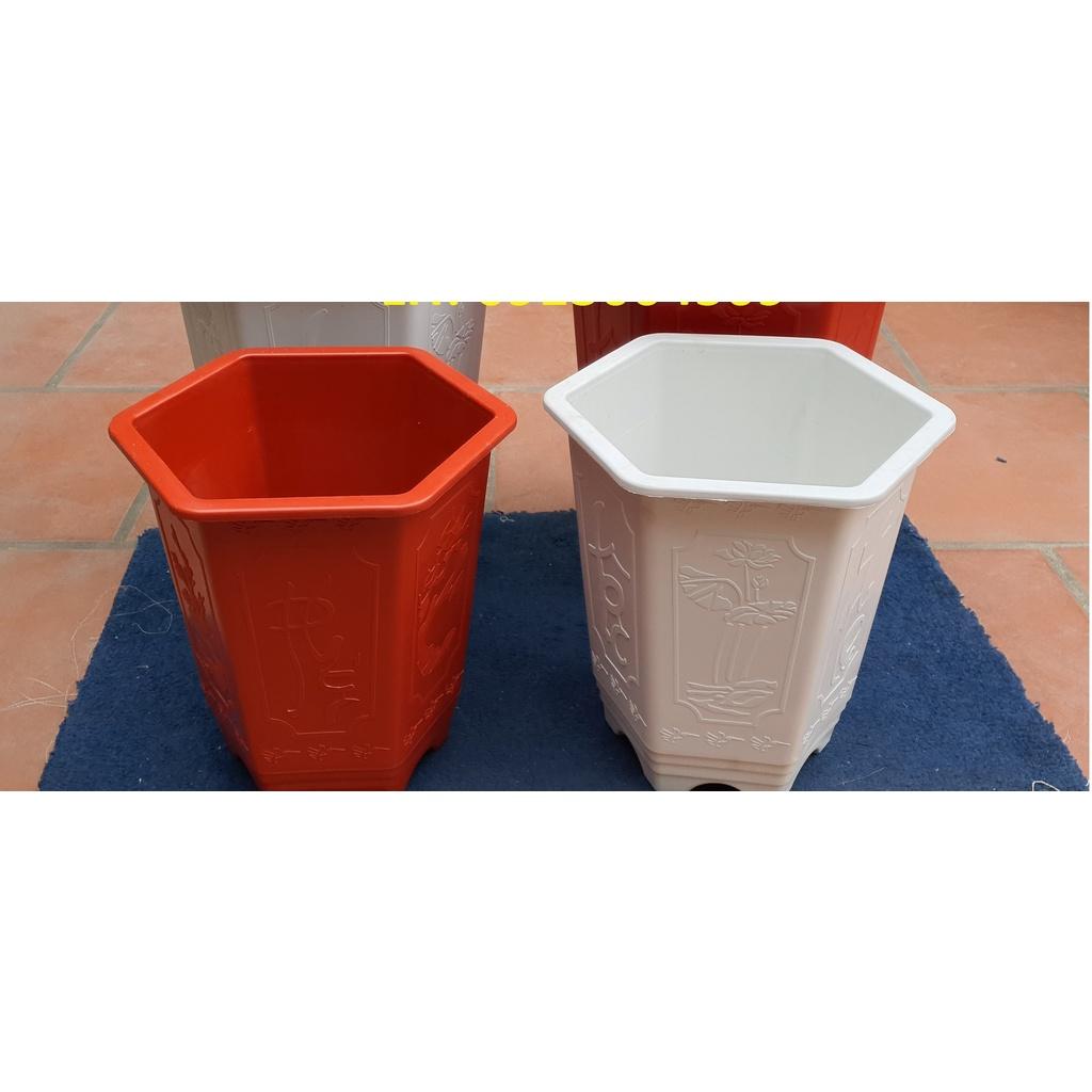 Chậu nhựa Lục giác cao LA 280 đa sắc màu