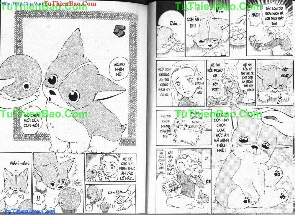 chó con mo mo chapter 3 18