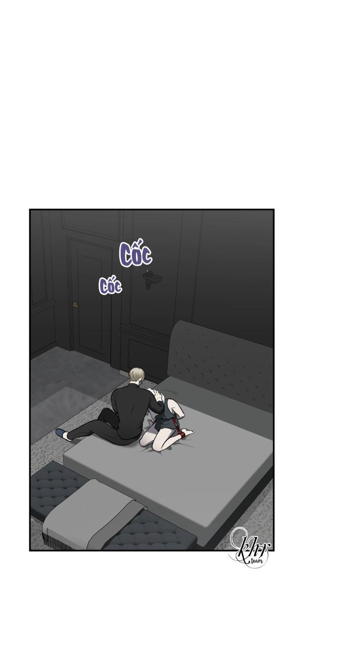 dưỡng thú cưng chapter 5 2