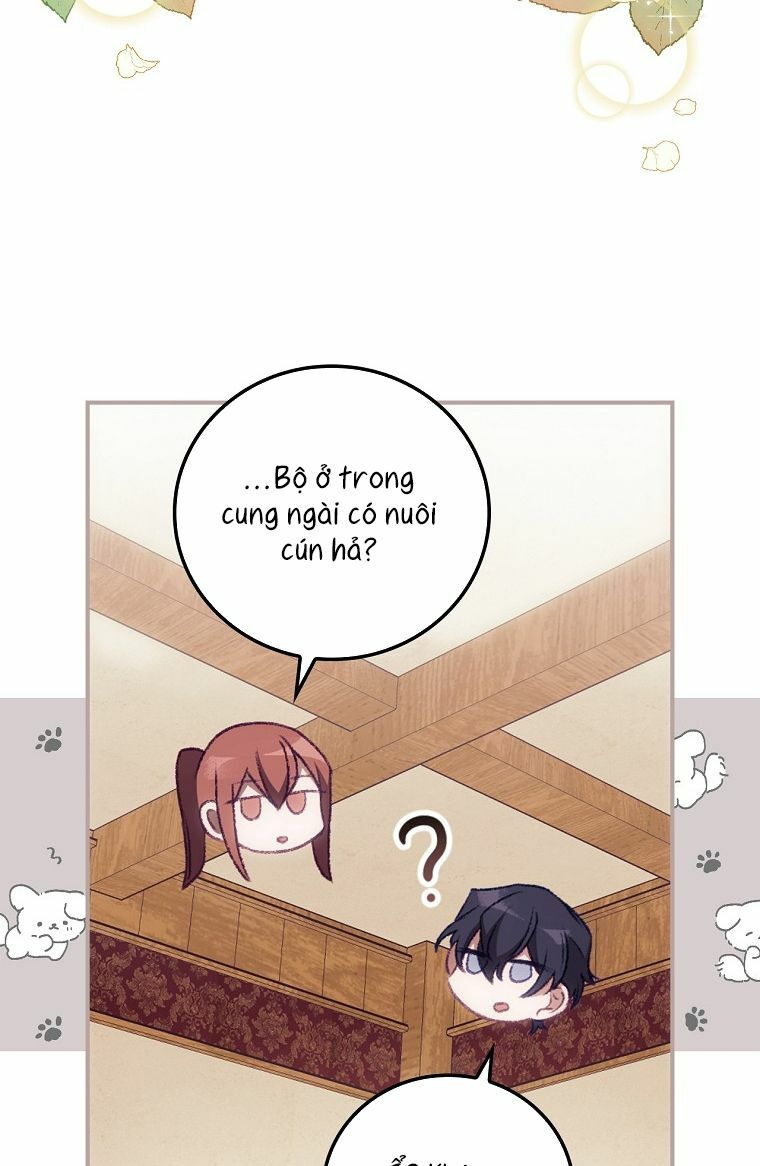 tôi nhìn thấy cái chết của bạn chapter 15 40