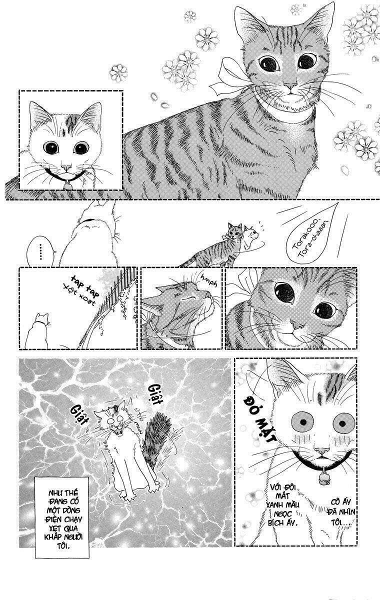 cuộc sống thường nhật của mèo zaccho chapter 1 10