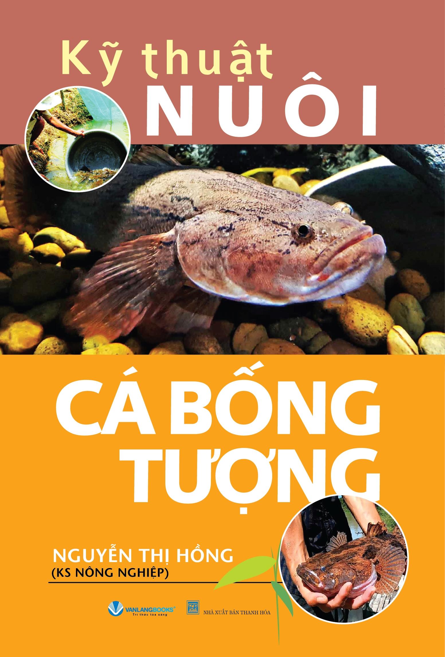 Kỹ Thuật Nuôi Cá Bống Tượng