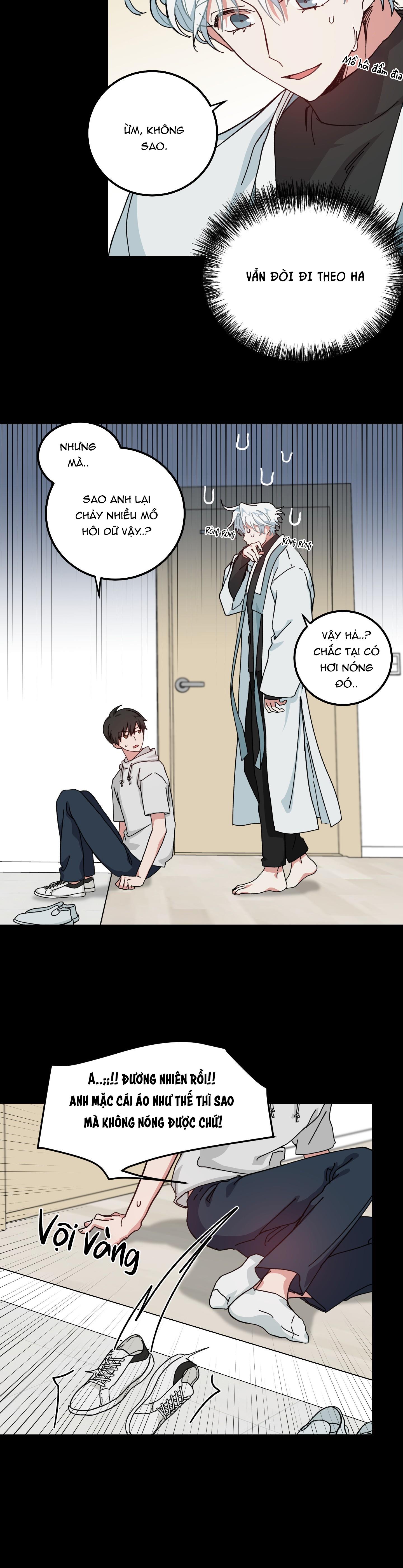 yêu tôi đi, thần hộ mệnh chapter 10 12