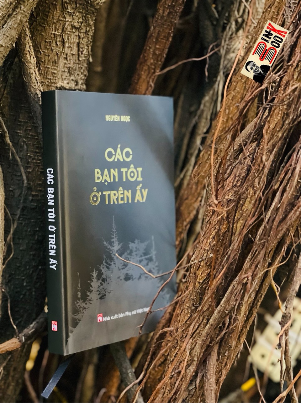 CÁC BẠN TÔI Ở TRÊN ẤY - NGUYÊN NGỌC - CHỮ KÝ TÁC GIẢ - BẢN CỨNG GIỚI HẠN - BÌNH BOOK