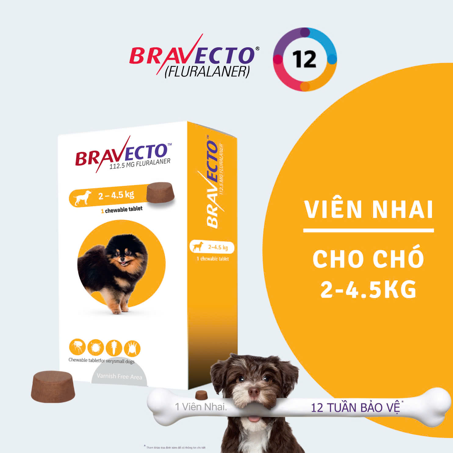 Bravecto Viên nhai vị thịt bò tiêu diệt 100% Ve trong 12 giờ cho chó 2-4.5kg