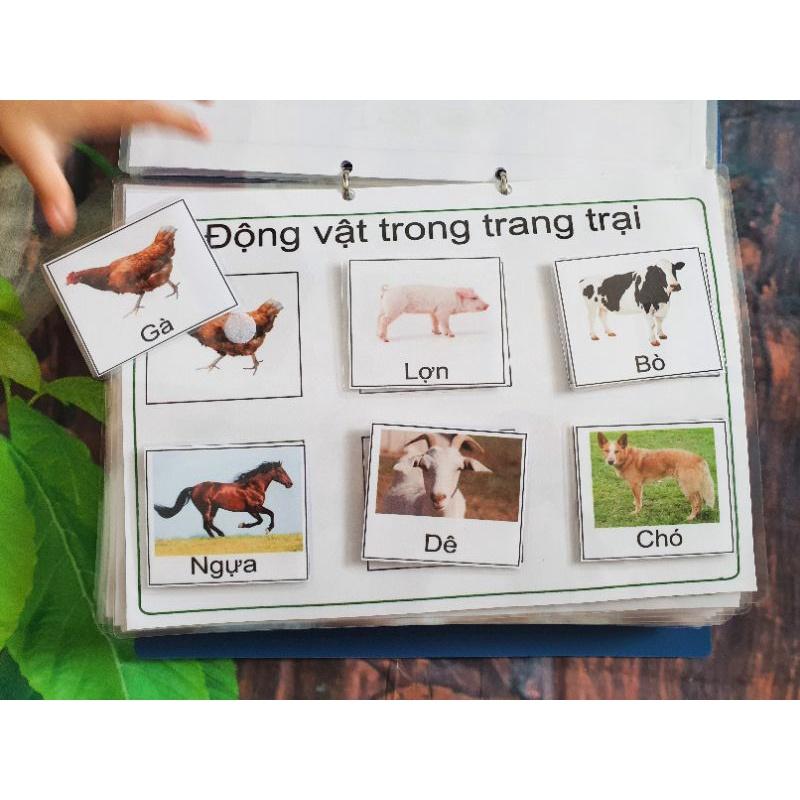 Bộ Học Liệu Montessori 23 Chủ Đề Tiếng Việt Với Các Chủ Đề Mở Rộng ,Quen Thuộc, Dễ Tiếp Cận Cho Bé 1+