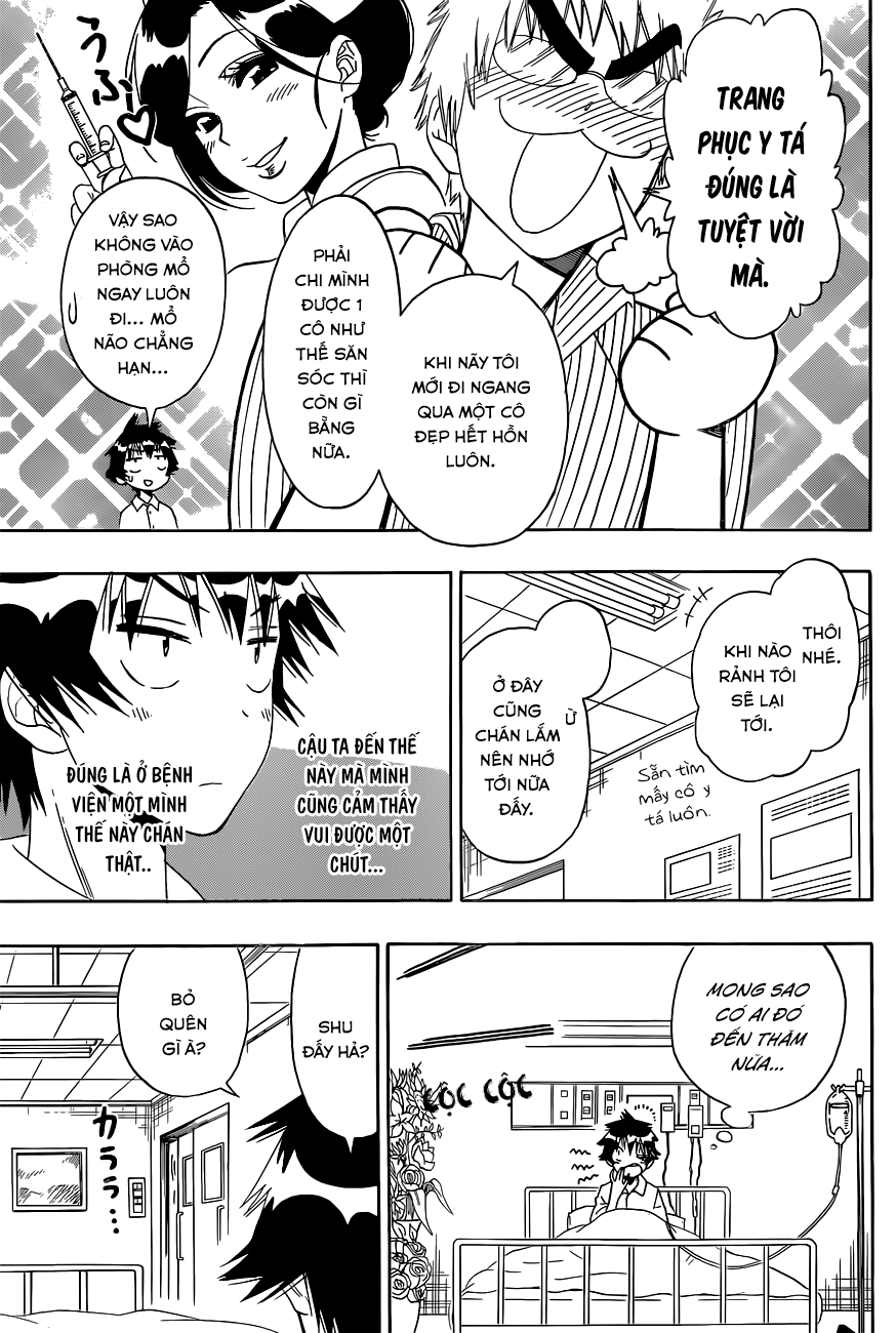 nisekoi - tình yêu giả tạo chapter 117 8