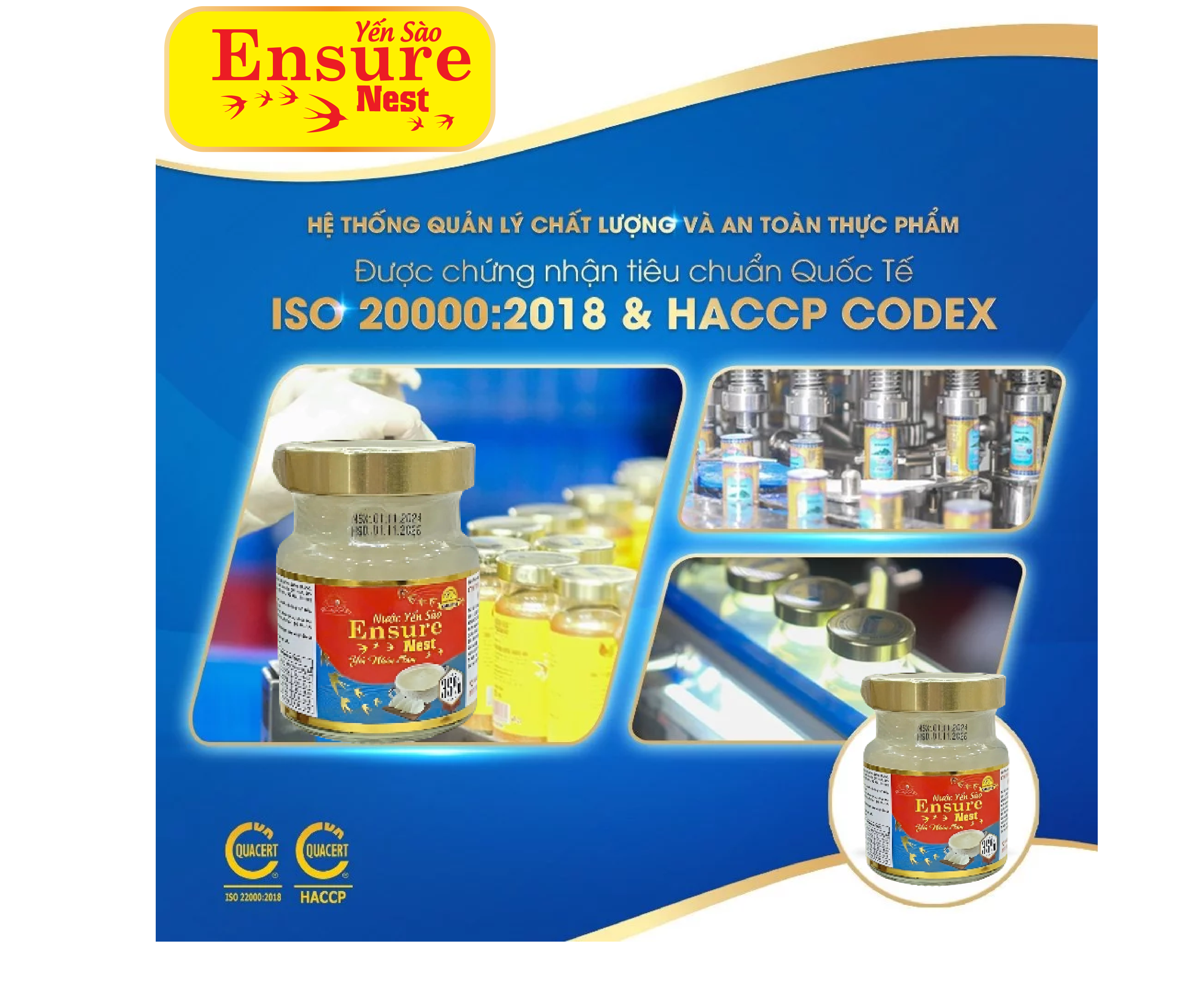Yến Ensure Nest Canxi Yến Sợi 350mg Yến Nguồn Gốc Yến Khánh Hoà 6 hủ /70ml