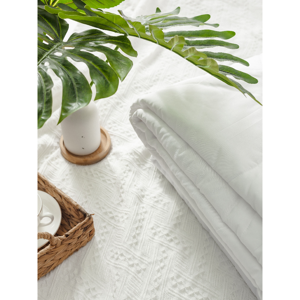Ruột chăn hè cao cấp Gòn Bedding 2m2x2m (đặt hàng 2 ngày)