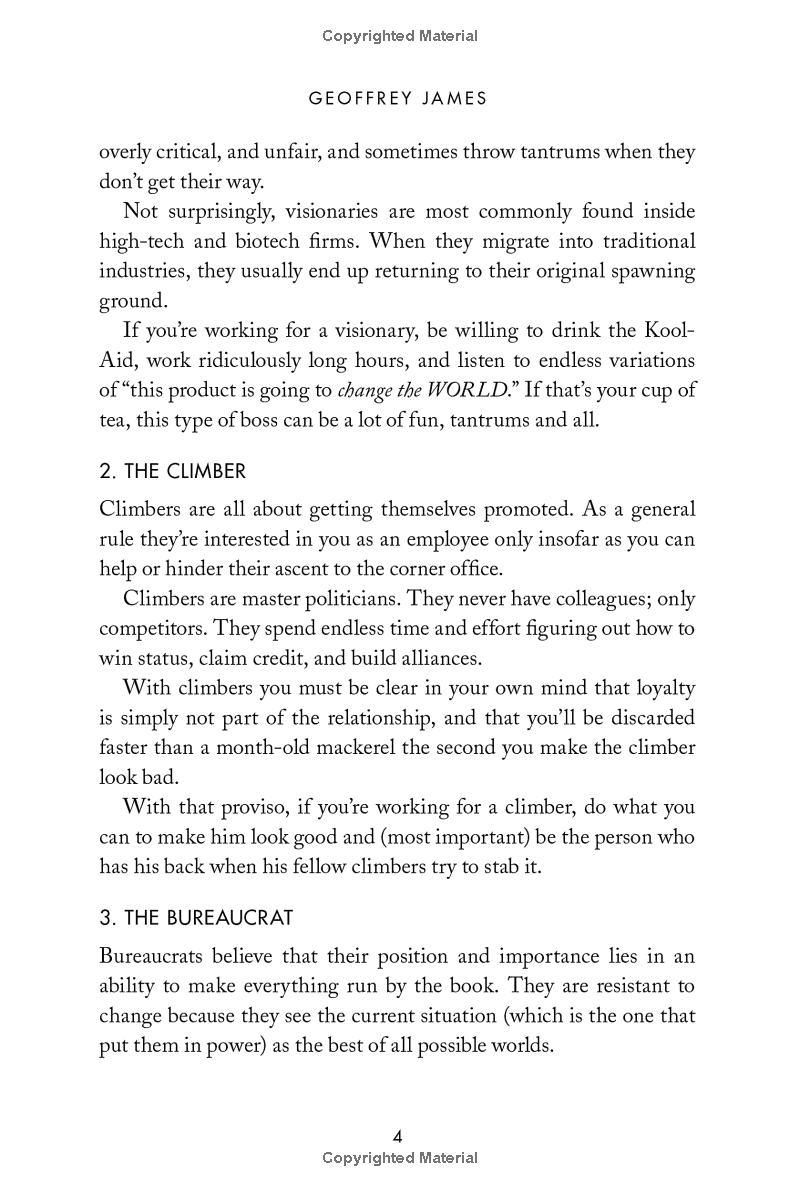 Business Without The Bullsh*t: 49 Secrets And Shortcuts You Need To Know