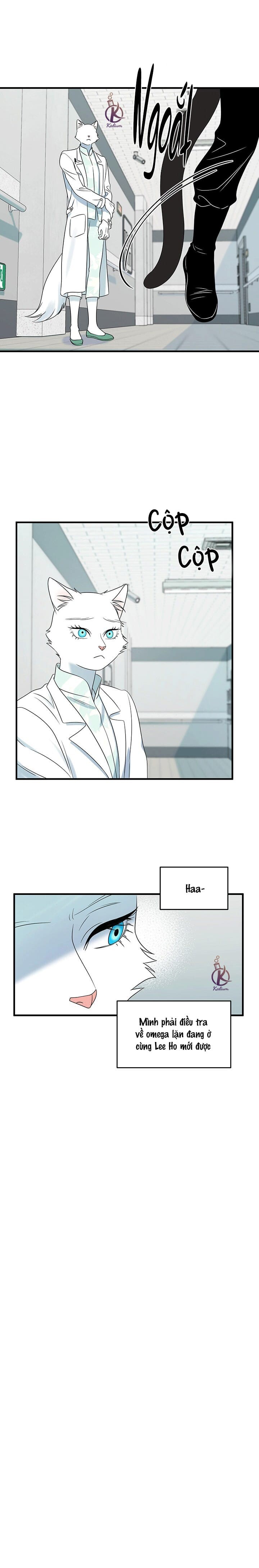 dự án xanh chapter 31 15