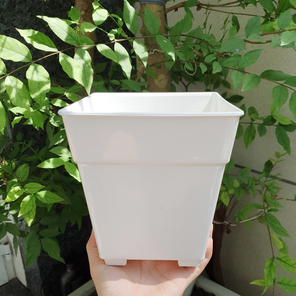 Combo 10 chậu hoa nhựa vuông trắng 17x18cm