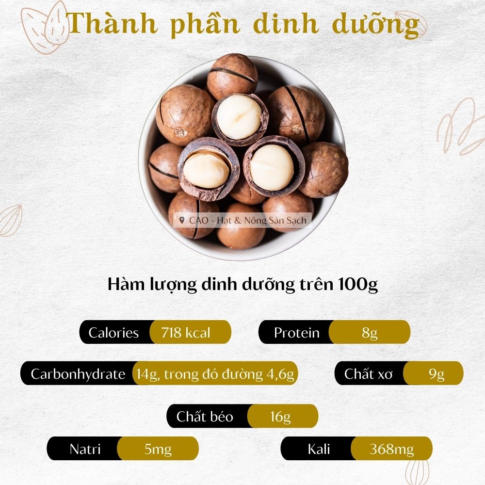 Hạt Macca Đaklak CAO Food loại 1 to tròn tự nhiên, ngọt bùi từng hạt - có kèm khui mở