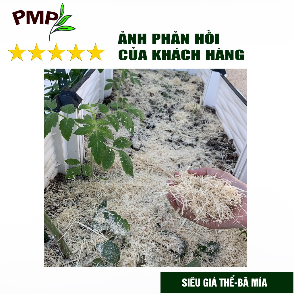 Combo Phân Hữu Cơ Cao Cấp Super Probio &amp; Giá Thể Bã Mía Cho Hoa Hồng, Rau Sạch, Cây Cảnh