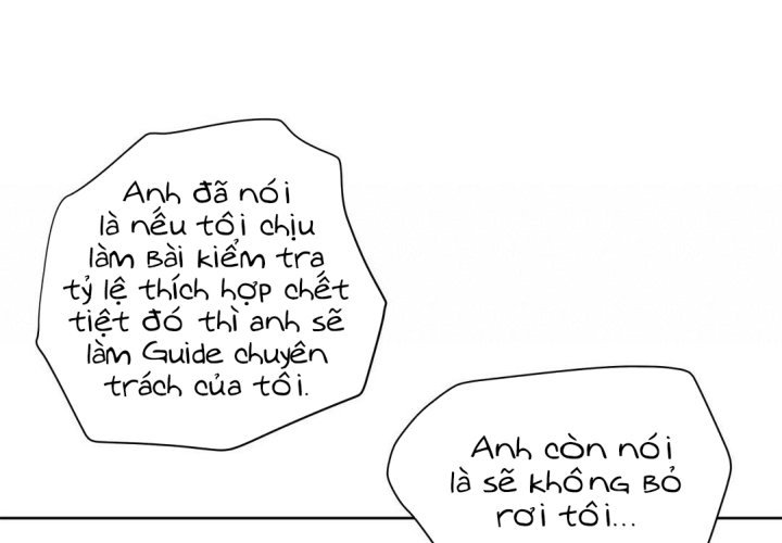 guide cấp b chapter 33 102