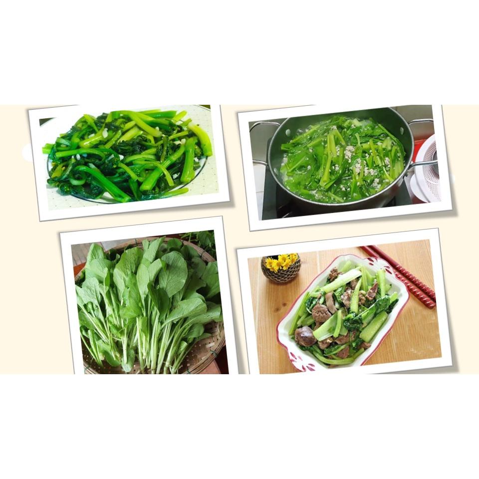 Hạt Giống Rau Cải Ngọt Giòn Ngọt, Năng Suất Cao - Phú Nông Seeds - Shop Phân Bón và Hạt Giống