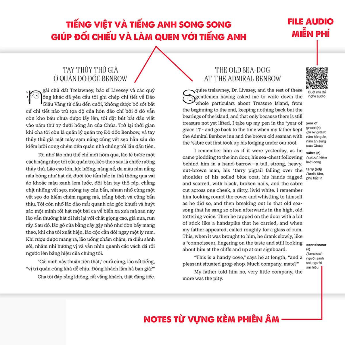 Sách - Đảo Giấu Vàng - Treasual Island - Song Ngữ Việt-Anh
