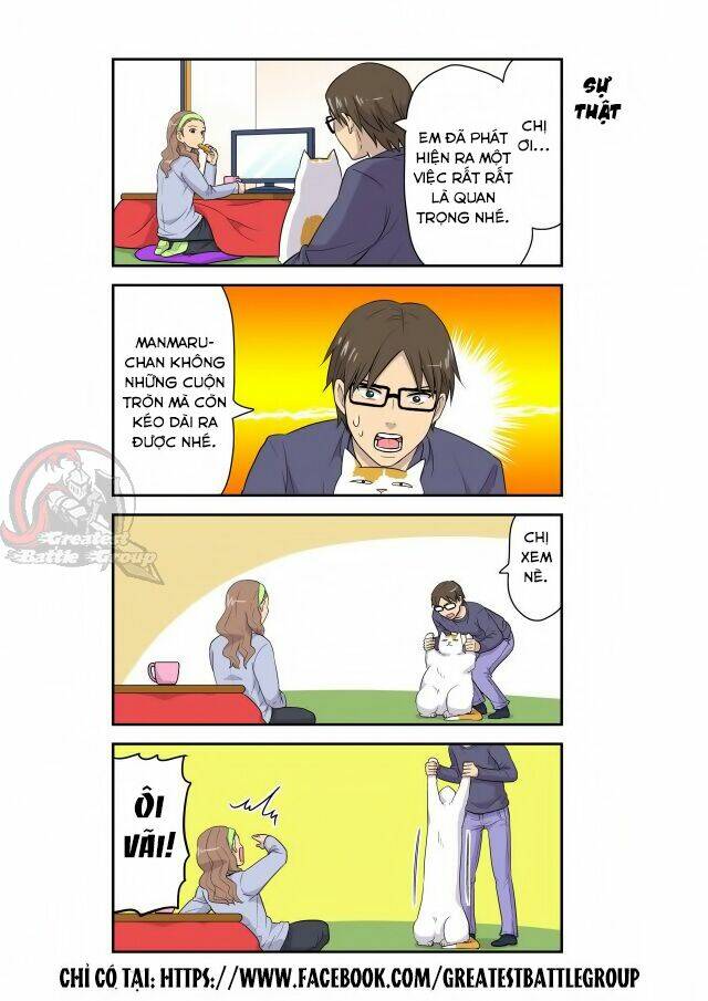 cat is silver vine chapter 5 8