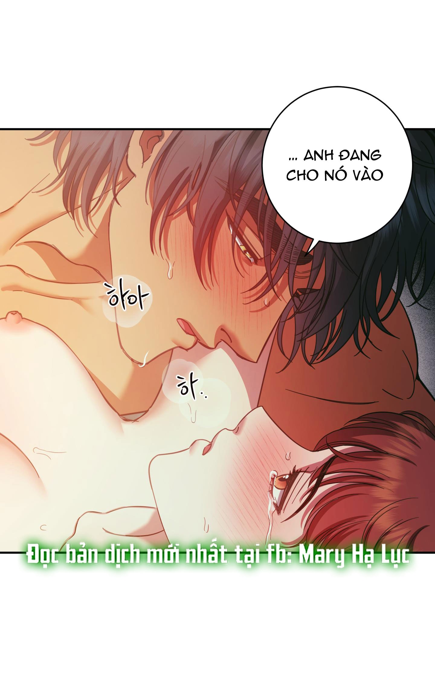 [18+] một lòng một dạ chapter 95.1 15