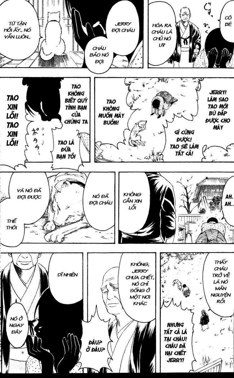 gintama - linh hồn bạc chapter 237 15