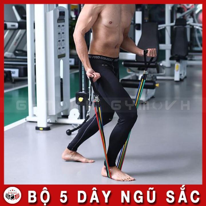 Bộ 5 Dây Ngũ Sắc Vouller Tập Gym - Full Body - Hàng Chính Hãng