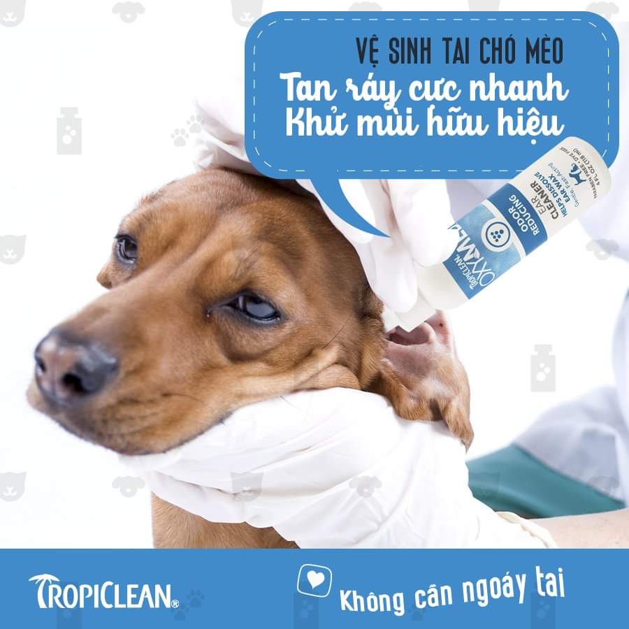 Nước vệ sinh tai cho chó mèo (Tropiclean, Mỹ)