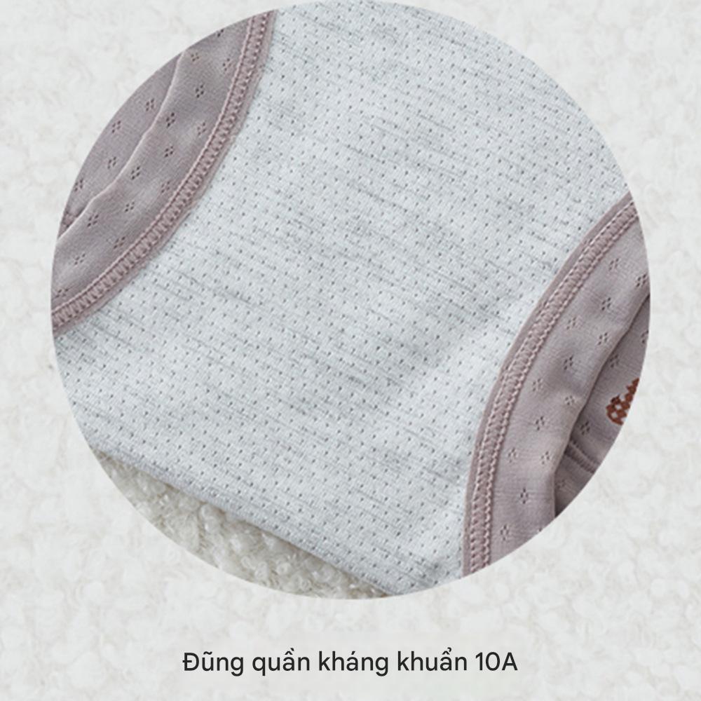 Combo 5 quần lót nữ thun lạnh thông hơi lưng cao 975 – Đem lại sự thoải mái và tự tin mỗi ngày