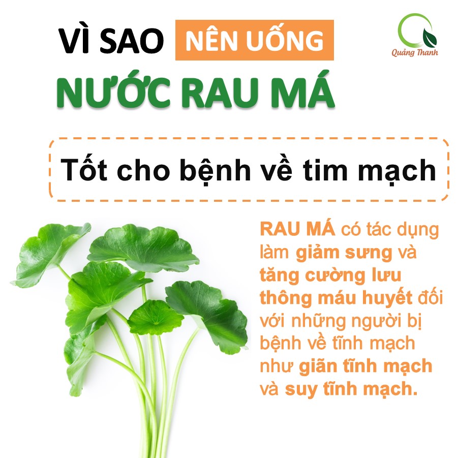 Bột rau má sấy lạnh Quảng Thanh, bịch 50gr - Giải độc, mát gan, thanh nhiệt cơ thể, giảm mụn, đẹp da