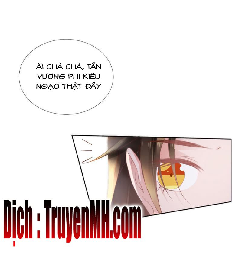 solo đi vương gia chapter 108 7