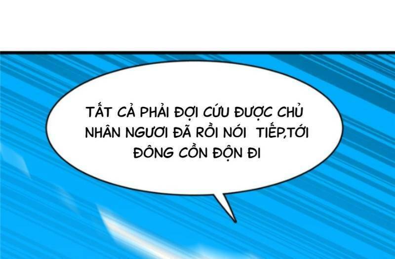 độc bộ thiên hạ: đặc công thần y chapter 156 31