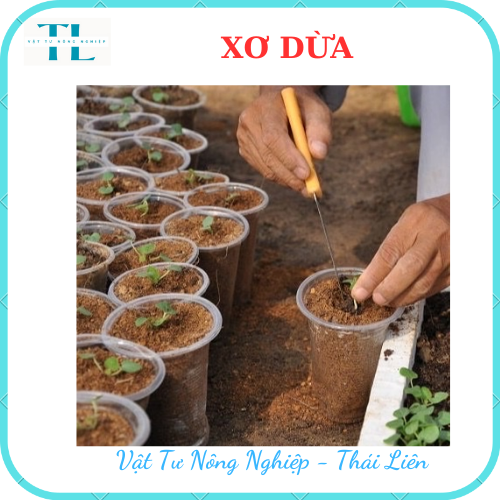 2 Kg Mụn Xơ Dừa Trồng Rau, Hoa Kiểng giá thể trồng cây - Ươm hạt giống, rau mầm (Đã Qua Xử Lý)