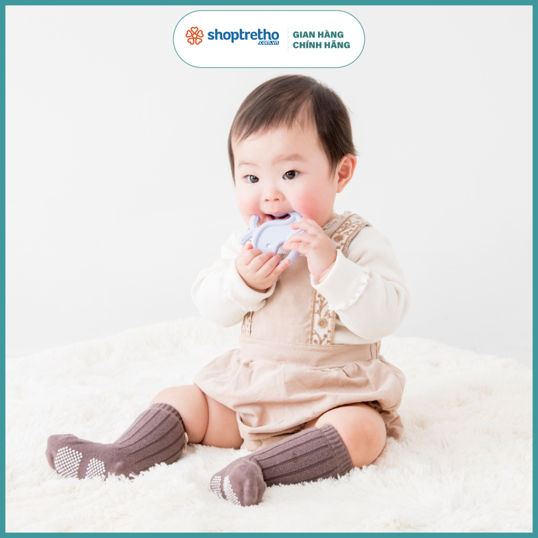 Gặm nướu silicone nguyên khối Richell Nhật Bản sinh vật biển gặm nướu đồ chơi cho bé | Baby