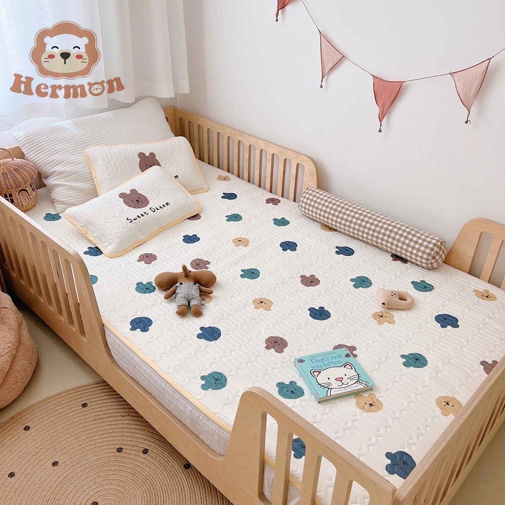 Chiếu điều hòa kèm gối cho bé Hermon (60*120cm)