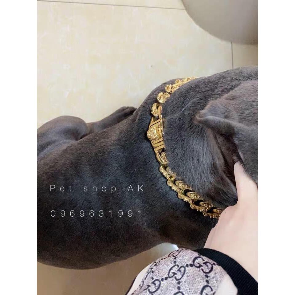 Vòng vàng cho chó bản 3.2cm to dầy ,vòng inox cao cấp mạ vàng điêu khắc hình đâu lâu cho chó lớn bully,pitbull,v.v...