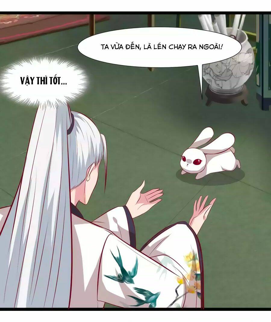 thỏ yêu tiểu vương phi chapter 65 31