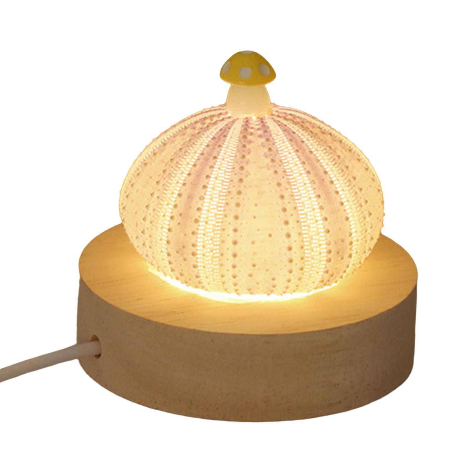 Decorative Table Lights Shell with LED Function Birthday Gift Mini Table Lamp
