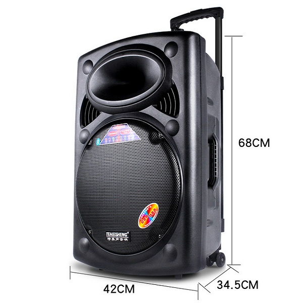 Loa kéo di động karaoke Temeisheng LA015/Model A108 (BASS 40CM) - Hàng chính hãng