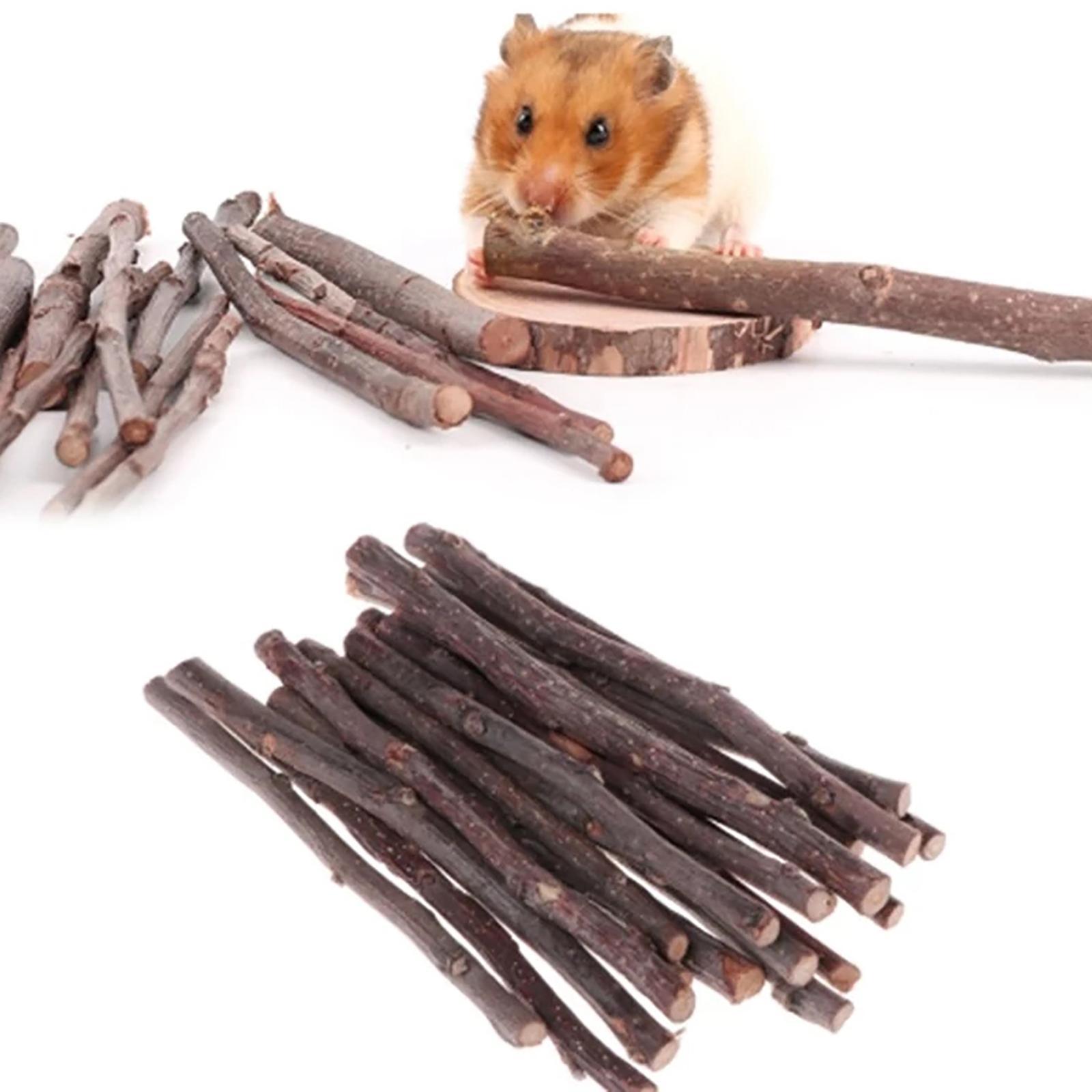 Wood Chew Sticks 1000g Hamster Groundhog Squirrels Rodent Animals